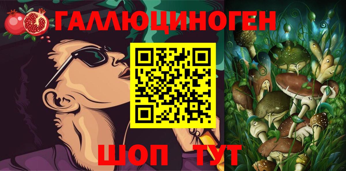 Кимовск  Галлюциногенные грибы Cubensis  что такое   Вход с VPN 